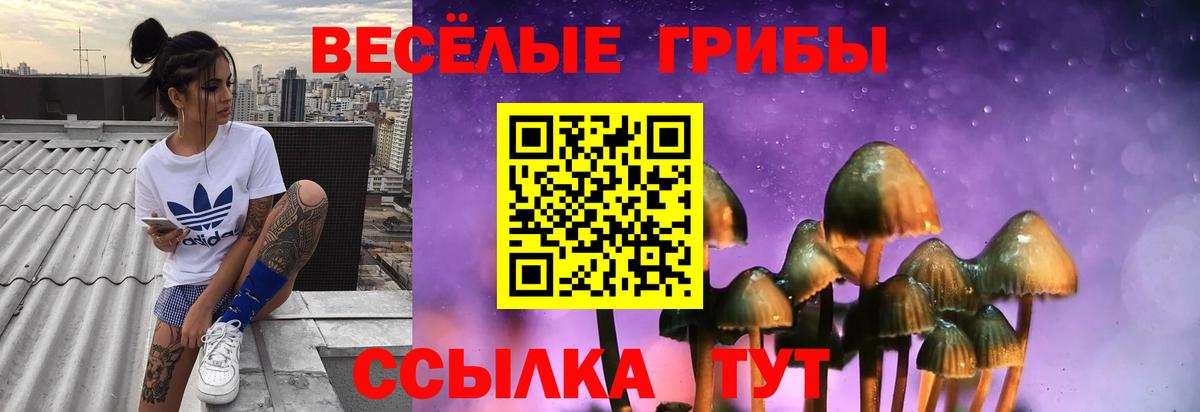 Галлюциногенные грибы Psilocybe  Вход с VPN  Галлюциногенные грибы MAGIC MUSHROOMS  Заволжье 