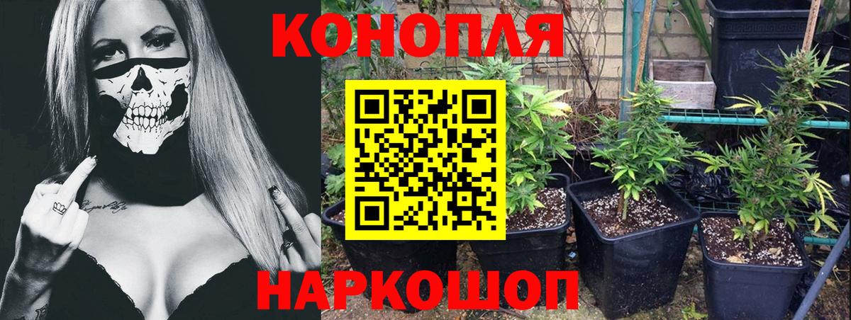 МАРИХУАНА планчик  МАРИХУАНА тримм  Бошки Шишки Bruce Banner  Конопля THC 21%  Заволжье  Вход с VPN 
